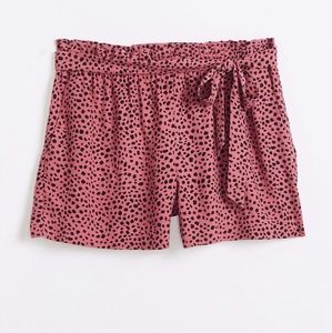 Loft Animal Print Shorts